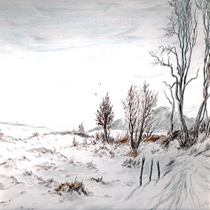 winterlandschaft